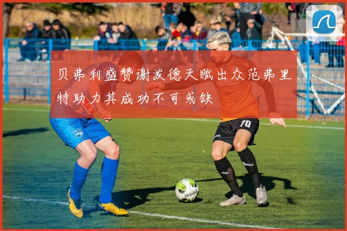 贝弗利盛赞谢泼德天赋出众范弗里特助力其成功不可或缺