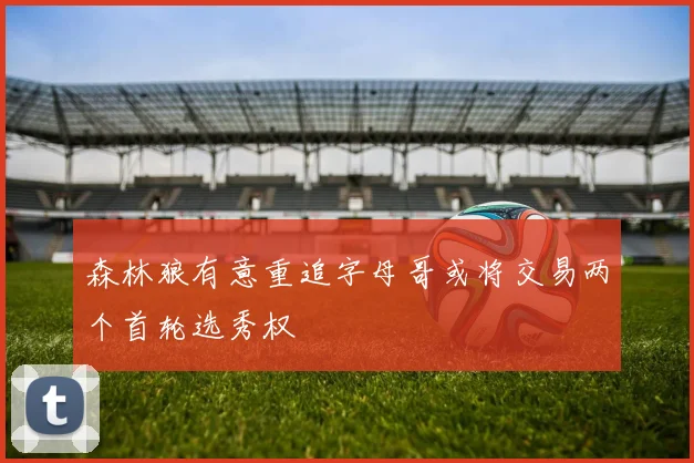 森林狼有意重追字母哥或将交易两个首轮选秀权